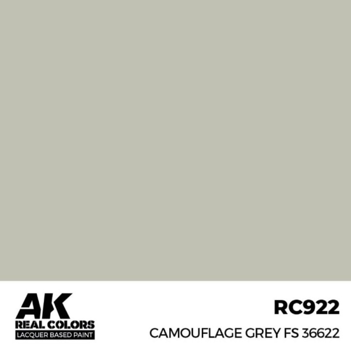 Camouflage Grey FS 36622 17 ml