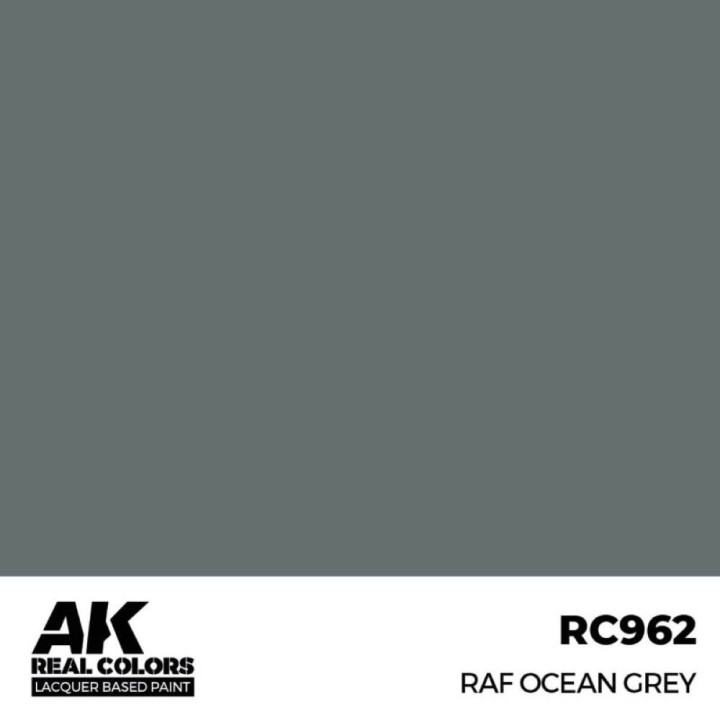 RAF Ocean Grey 17 ml