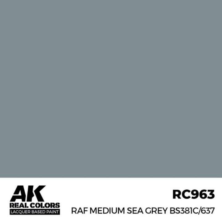 RAF Medium Sea Grey BS381C/637 17 ml