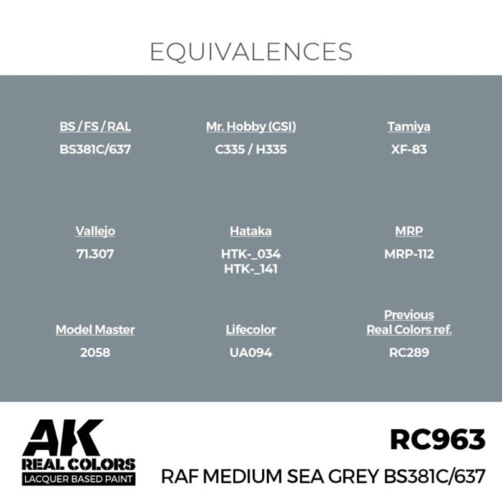 RAF Medium Sea Grey BS381C/637 17 ml