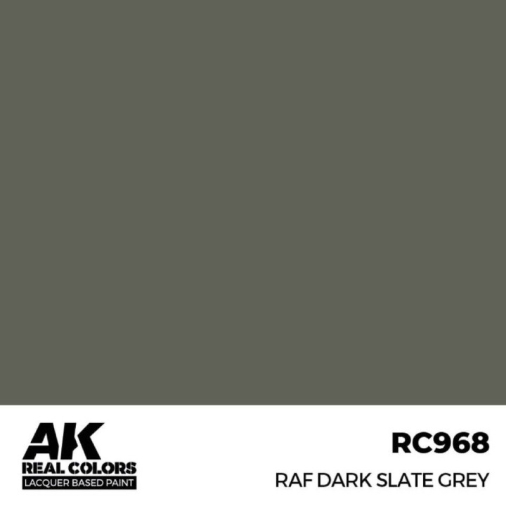 RAF Dark Slate Grey 17 ml