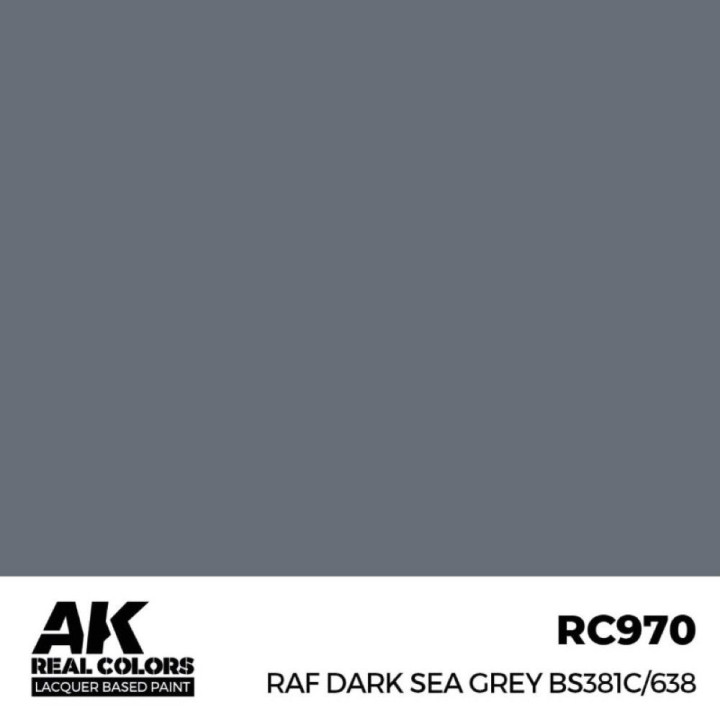 RAF Dark Sea Grey BS381C/638 17 ml