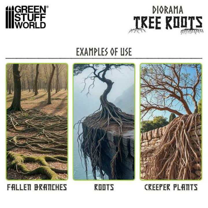 Diorama Tree Roots / Dioráma Korene stromov
