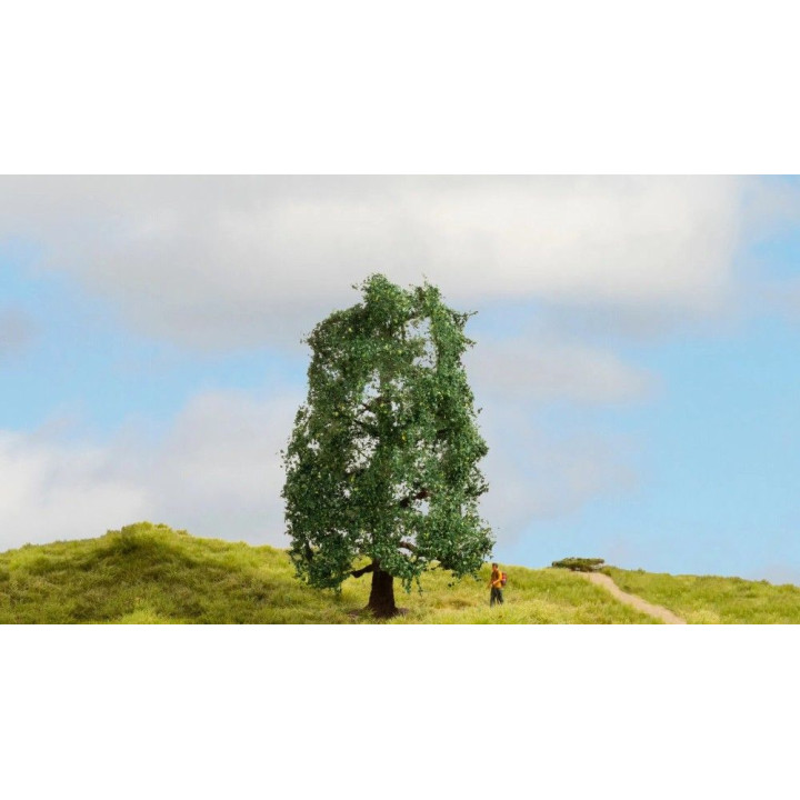 NOCH Oak / Dub 15cm