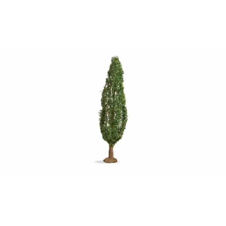 NOCH Poplar / Topoľ 18cm