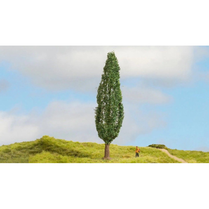 NOCH Poplar / Topoľ 18cm