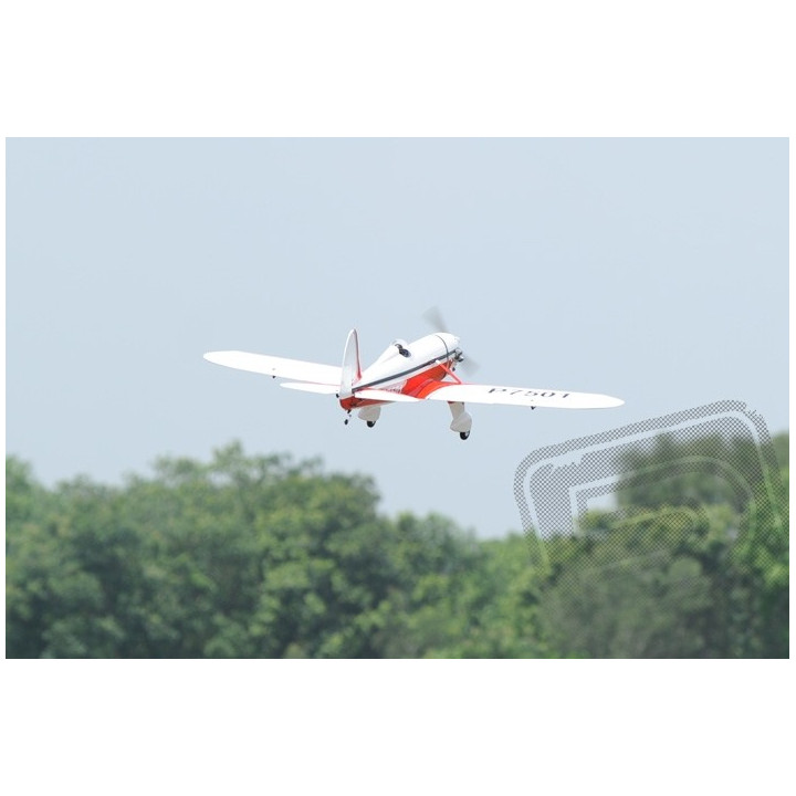 PH122 Ryan STA 1800mm 1:5 ARF