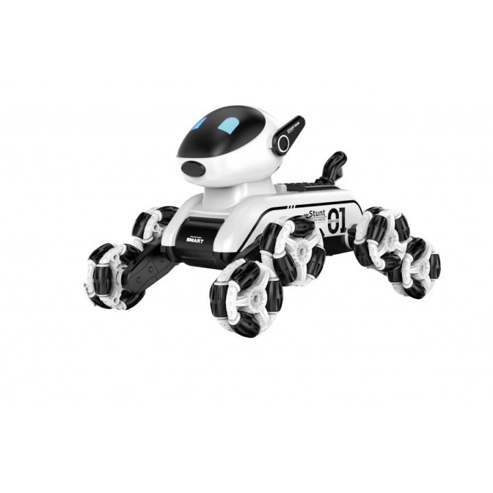 RoboPes Fleg