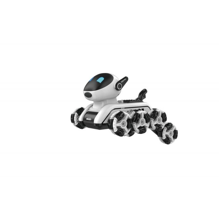 RoboPes Fleg