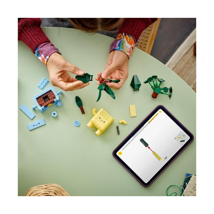 LEGO Botanicals - Veselé rostlinky