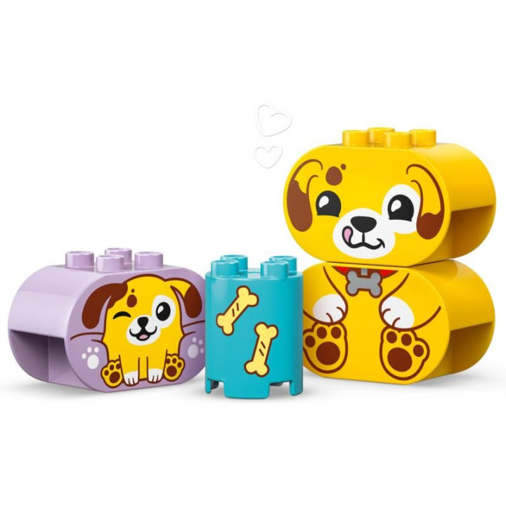 LEGO DUPLO - Třídění tvarů: Domeček pro štěňátka