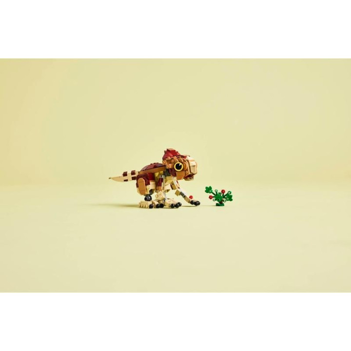 LEGO Jurassic World - Dinosauří mládě Dolores: Aquilops