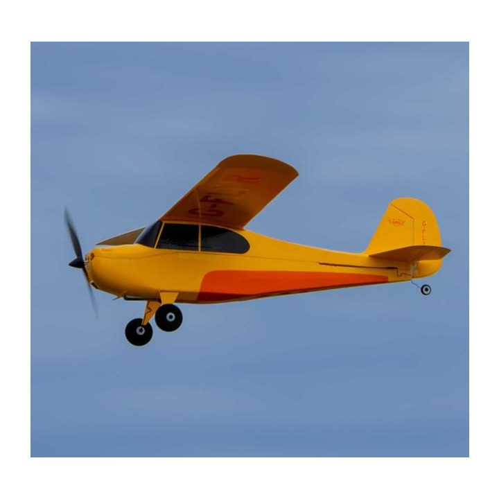 Hobbyzone Champ Anniversary Special Edition 515mm SAFE BNF Basic
