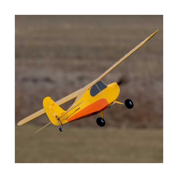 Hobbyzone Champ Anniversary Special Edition 515mm SAFE BNF Basic