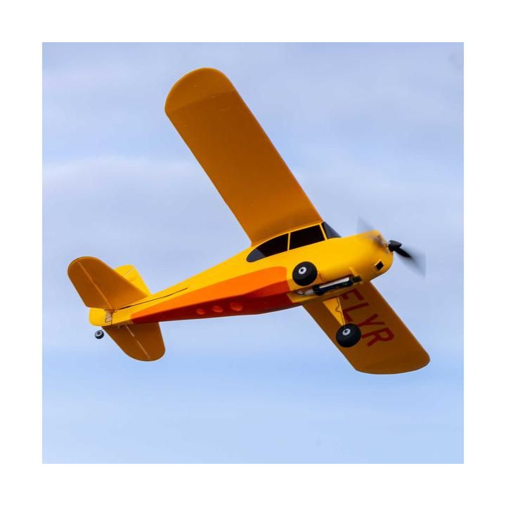 Hobbyzone Champ Anniversary Special Edition 515mm SAFE BNF Basic