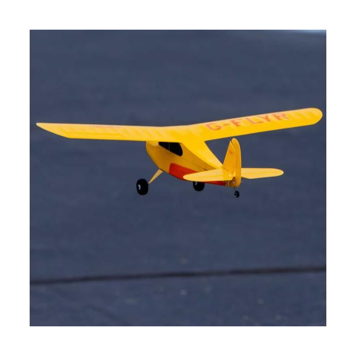 Hobbyzone Champ Anniversary Special Edition 515mm SAFE BNF Basic