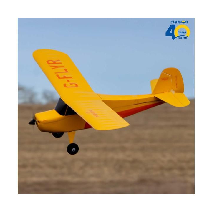 Hobbyzone Champ Anniversary Special Edition 515mm SAFE BNF Basic