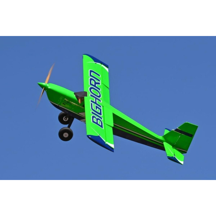 100" Bighorn ARF - zelená 2,54m