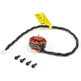 Spektrum motor střídavý 1404 2750ot/V 12P