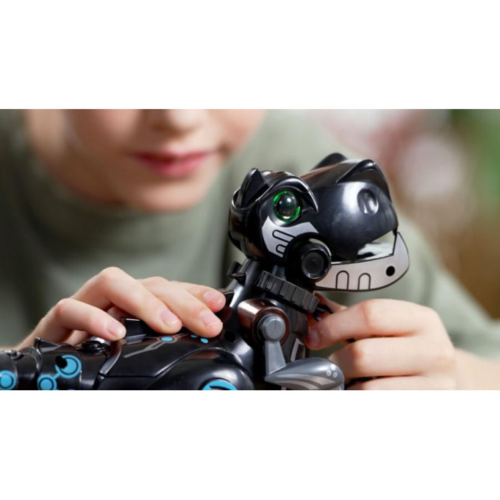 Robot My Dino II