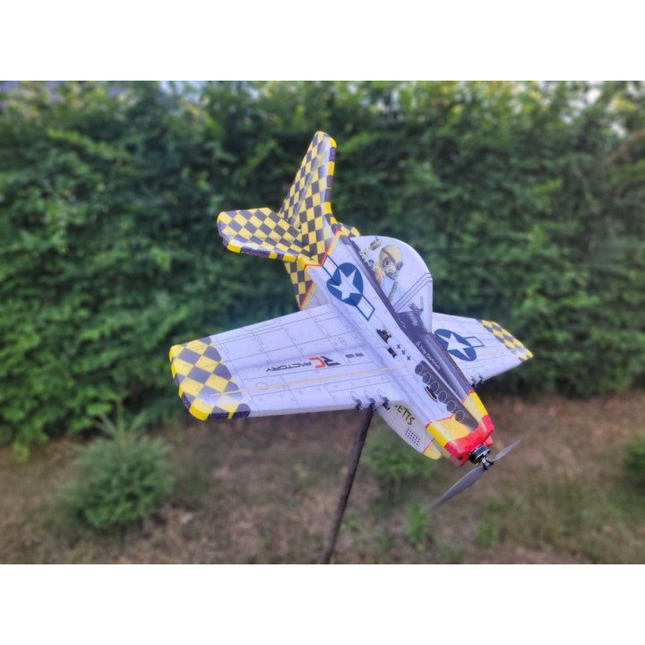 RC Factory Cartoon letouny - Mustang P-51 | RCsvet