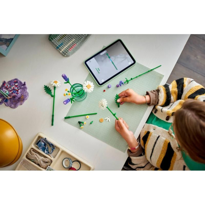 LEGO Botanicals - Kopretiny