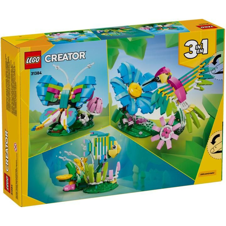 LEGO Creator - Divoká zvířata: Barevný kolibřík