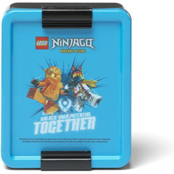 LEGO box na svačinu s uzavíratelným dobře těsnícím víkem pro tu nejlepší svačinu do školy a na výlety. Rozměry 170 x 135 x 69 mm. 