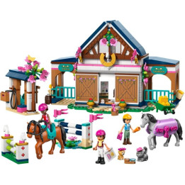 LEGO Friends - Koňská stáj a jezdecká akademie