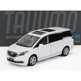 TAYUMO BUICK GL8 2000 - WHITE 1/32