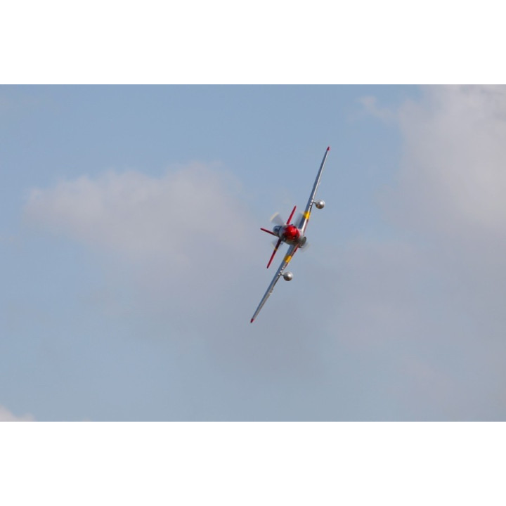 P-51D Mustang "Red Tail" V8 - ARF