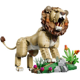 LEGO Creator - Divoká zvířata: Majestátní lev