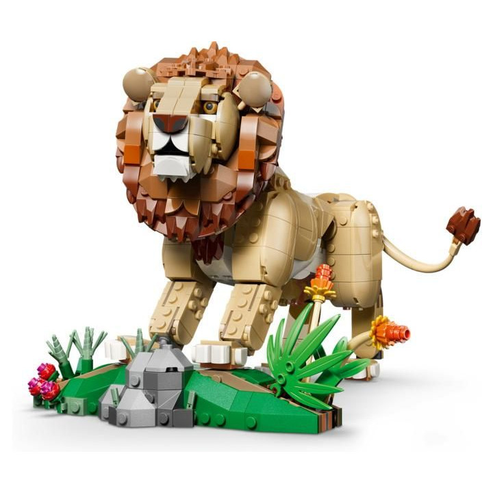 LEGO Creator - Divoká zvířata: Majestátní lev