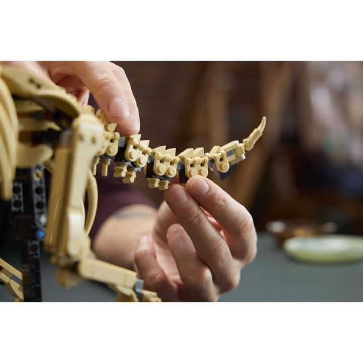 LEGO Jurassic World - Dinosauří fosilie: Triceratops
