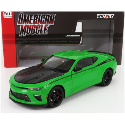 AUTOWORLD CHEVROLET CAMARO SS 1LE NICKEY COUPE 2017 - GREEN BLACK 1/18