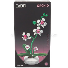 CADA CADA ORCHIDS - 197 pcs