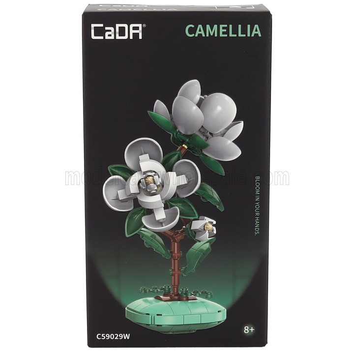 CADA CADA CAMELLIA - 278 pcs