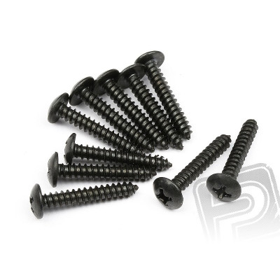 Samořezné šrouby s kul. hlavou M3x19mm (10ks)