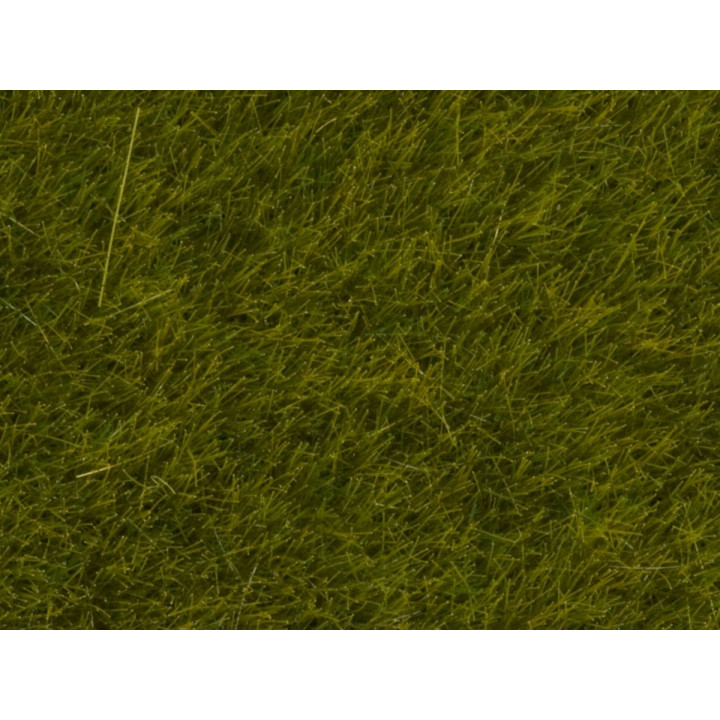 Divoká tráva, lúka, 6mm, 50g