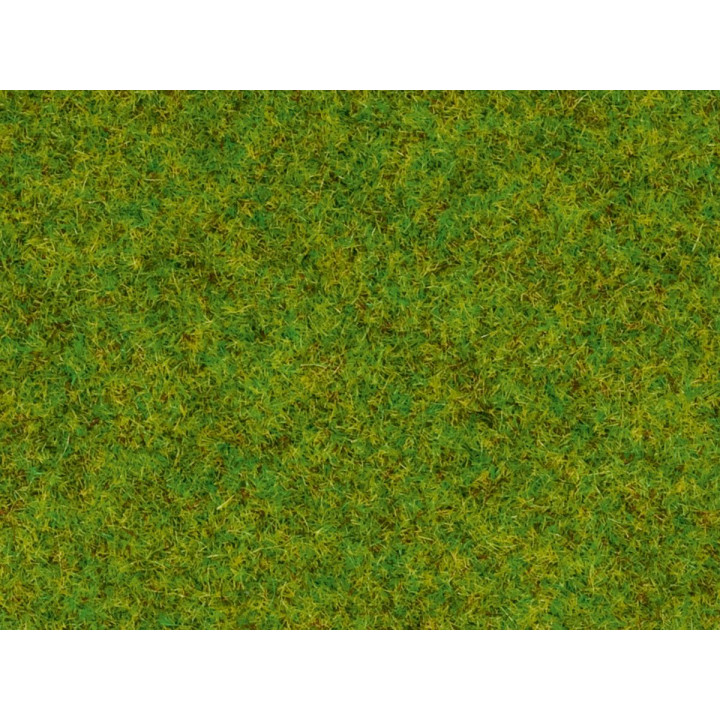 Statická tráva, jarná lúka, 2,5 mm, 120 g
