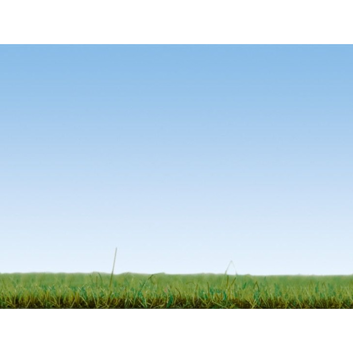 Statická tráva, jarná lúka, 2,5 mm, 120 g