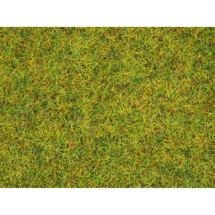 Statická tráva, letná lúka, 2,5 mm, 120 g