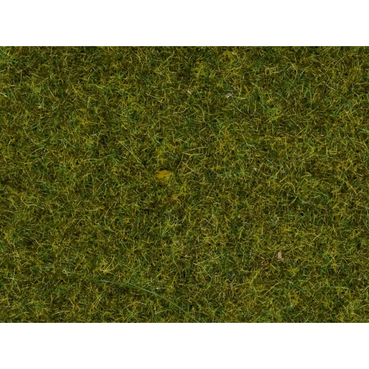 Statická tráva, lúka, 1,5 mm, 20 g