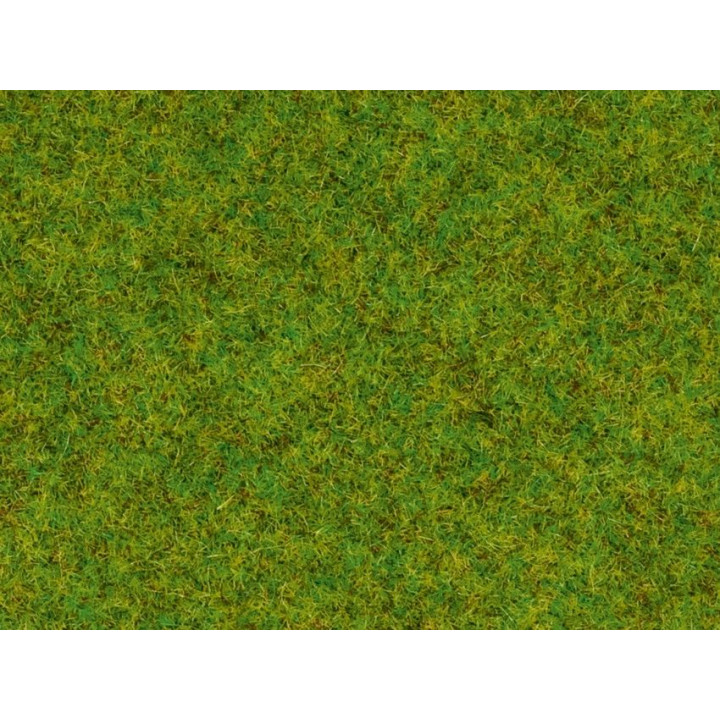 Statická tráva, jarní louka, 2,5mm, 20g