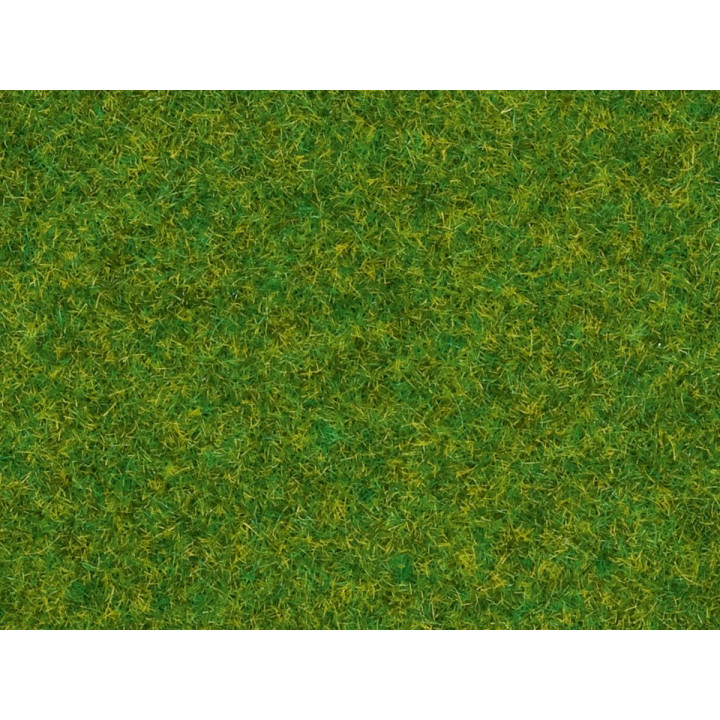 Statická tráva, okrasný trávnik, 2,5 mm, 20 g