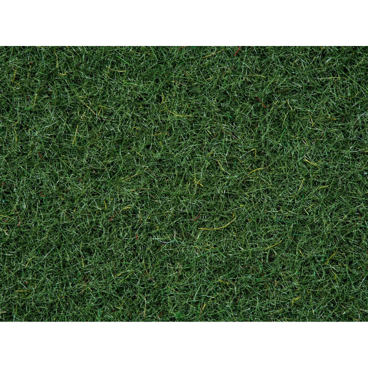 Statická tráva, rašelinisko, 2,5 mm, 20 g