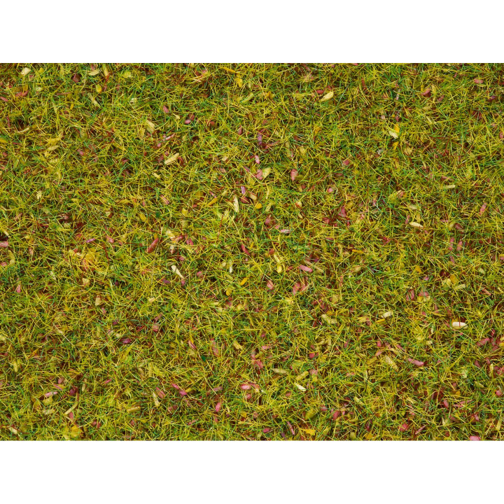 Statická tráva, kvitnúca lúka, 2,5 mm, 20 g