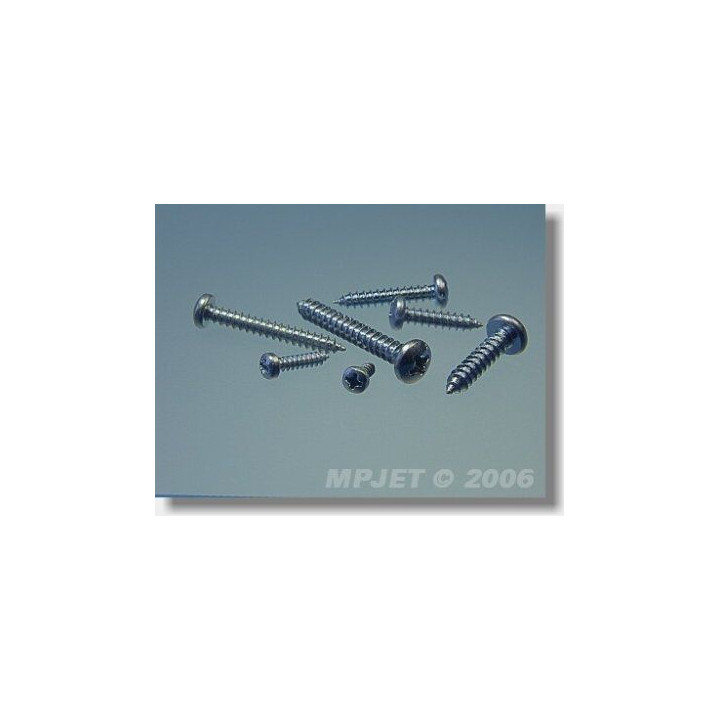 0518 Vrut Pan Head 2,9x22 10 ks
