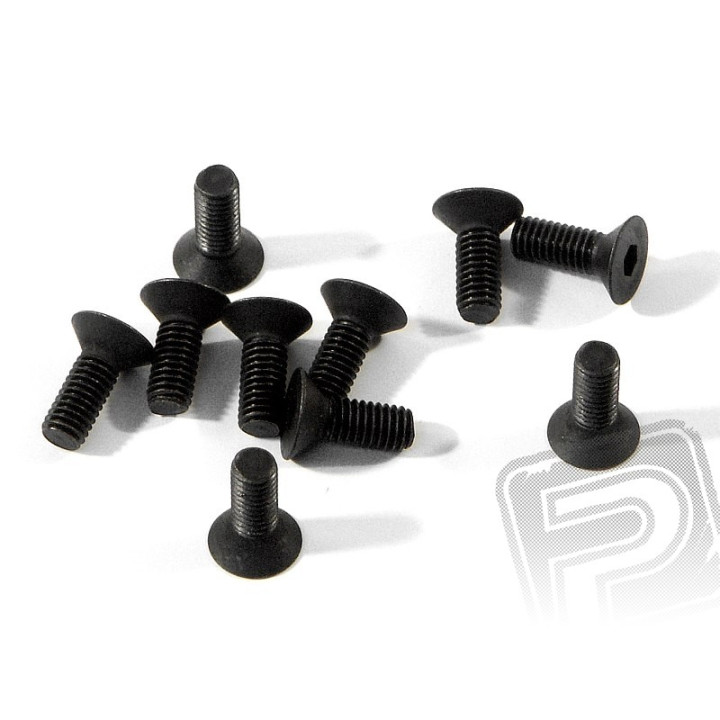 Šroub se záp. hlavou M3x8mm 10ks.