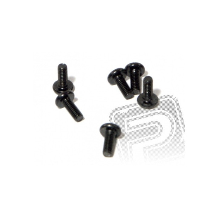 Šroub s čočkovou hlavou M4x10mm (6ks)